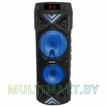 Колонка для вечеринок TELEFUNKEN TF-PS2204S